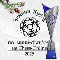 Зимний кубок по футзалу - 2025